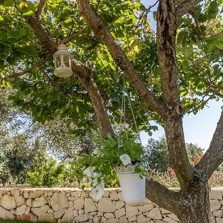 Ostuni Dimore Aurea